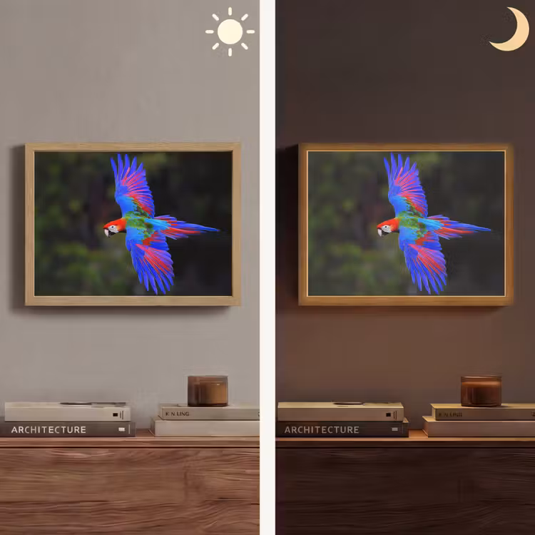 Felgekleurd - Papegaai - Bos - Vleugels Light Box met batterij (Wandlamp) middel -sfeer3