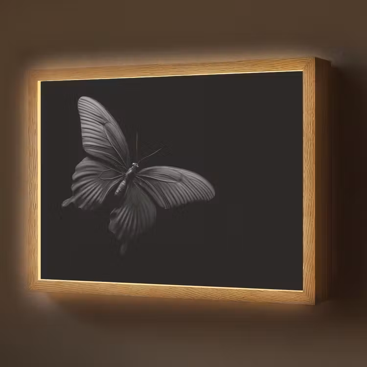 Vlinder - Zwart - Insect - Dieren Light Box met batterij (Wandlamp) middel -z3d_website
