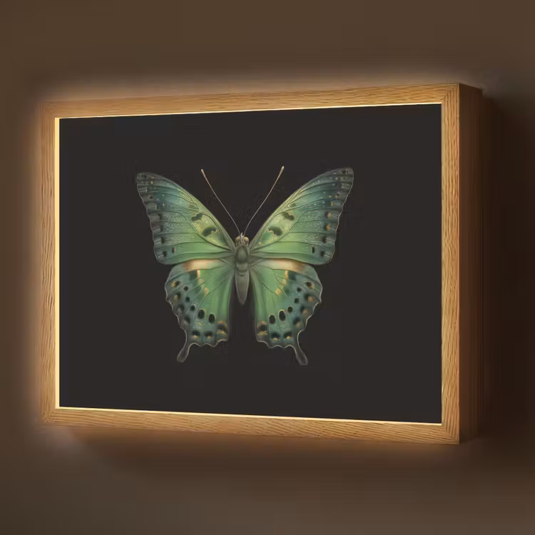 Vlinder - Groen - Diepte Light Box met batterij (Wandlamp) middel -z3d_website