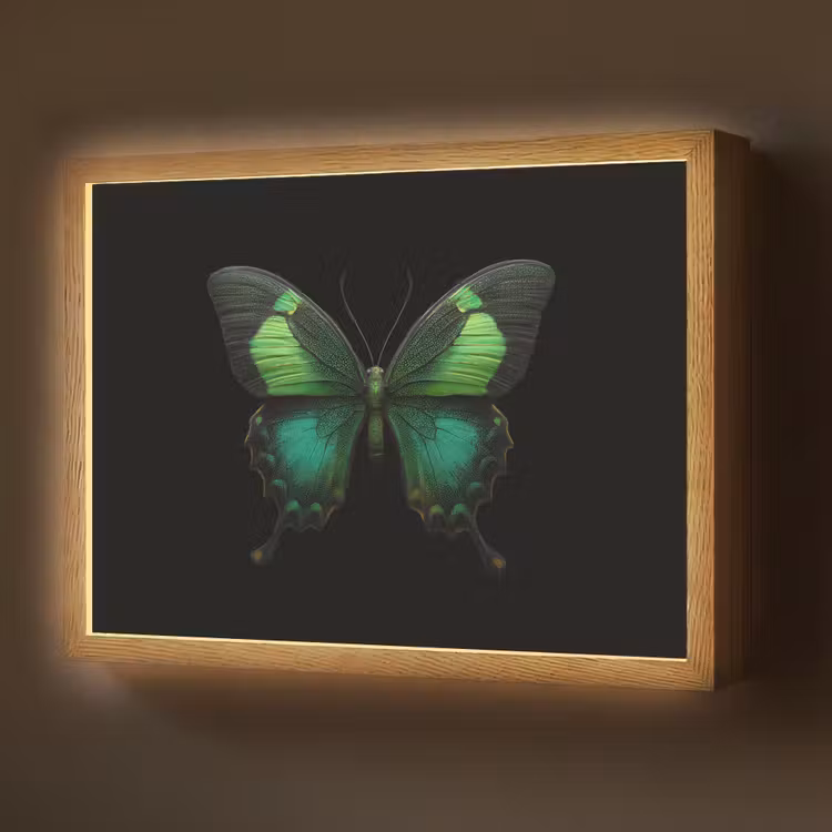 Vlinder - Groen - Opvallend Light Box met batterij (Wandlamp) middel -z3d_website