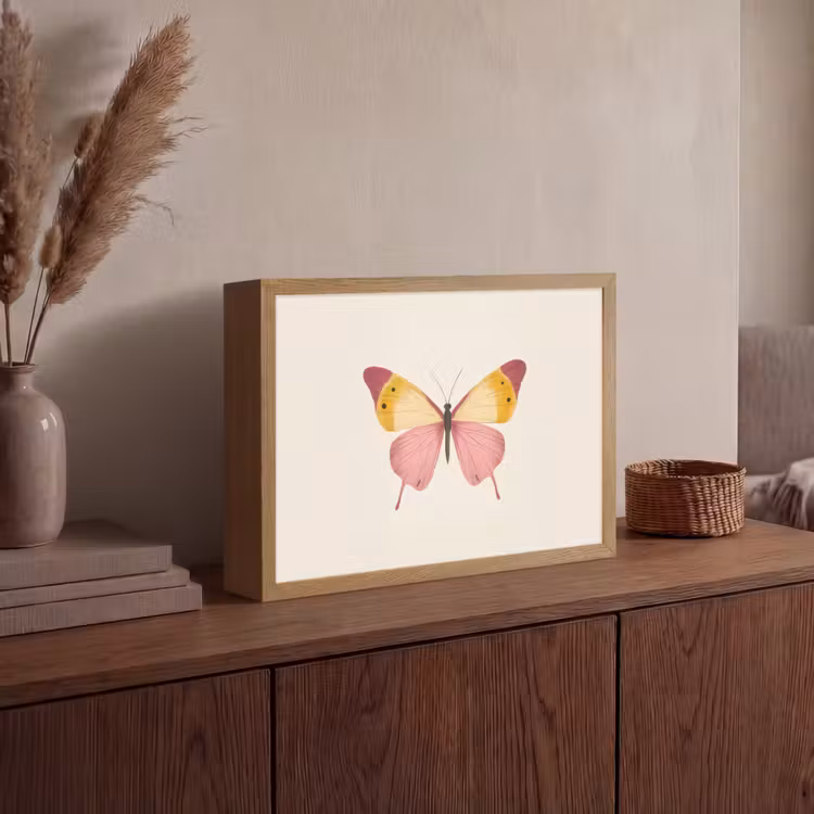 Vlinder - Illustratie - Roze Light Box met batterij (Wandlamp) middel -sfeer2
