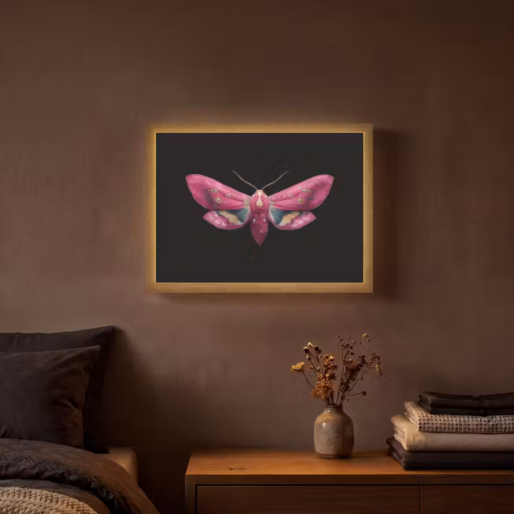 Vlinder - Roze - Nachtvlinder Light Box met batterij (Wandlamp) middel -sfeer4