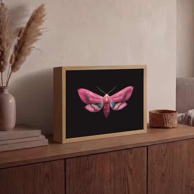 Vlinder - Roze - Nachtvlinder Light Box met batterij (Wandlamp) middel -sfeer2