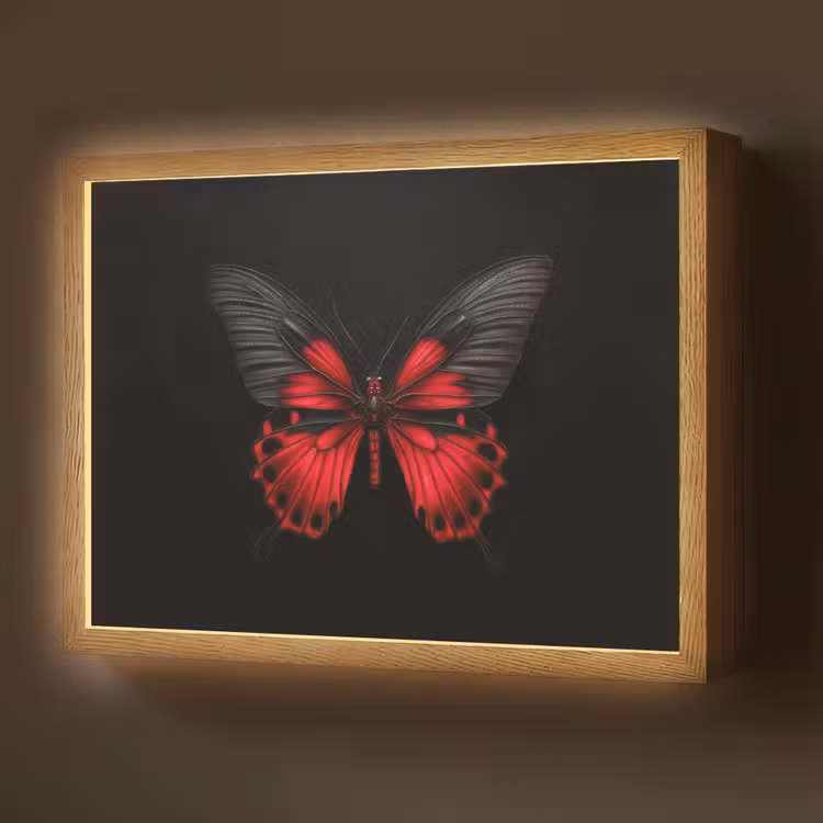 Vlinder - Rood - Contrast Light Box met batterij (Wandlamp) middel -z3d_website