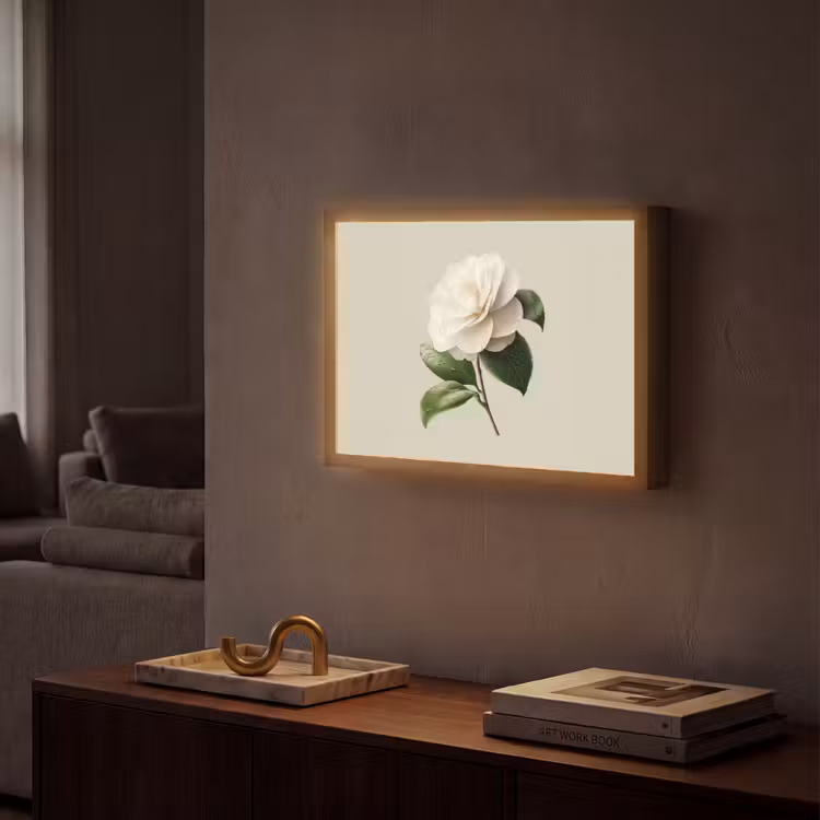 Cameliabloem - Wit - Groen Light Box met batterij (Wandlamp) middel -sfeer1