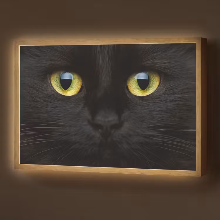 Kat - Zwart - Dieren - Natuur Light Box met batterij (Wandlamp) middel -z3d_website