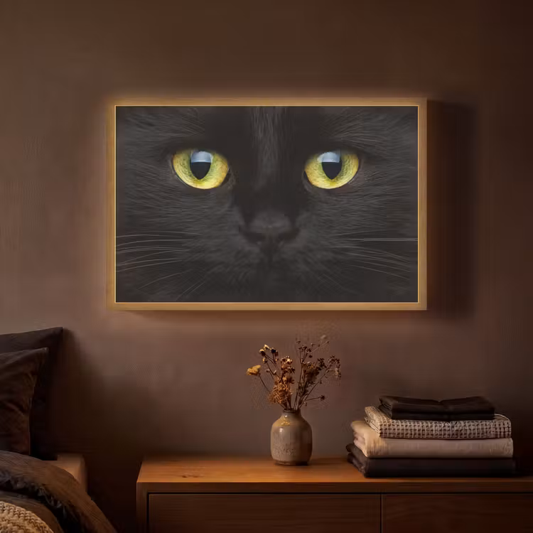 Kat - Zwart - Dieren - Natuur Light Box met batterij (Wandlamp) middel -sfeer4