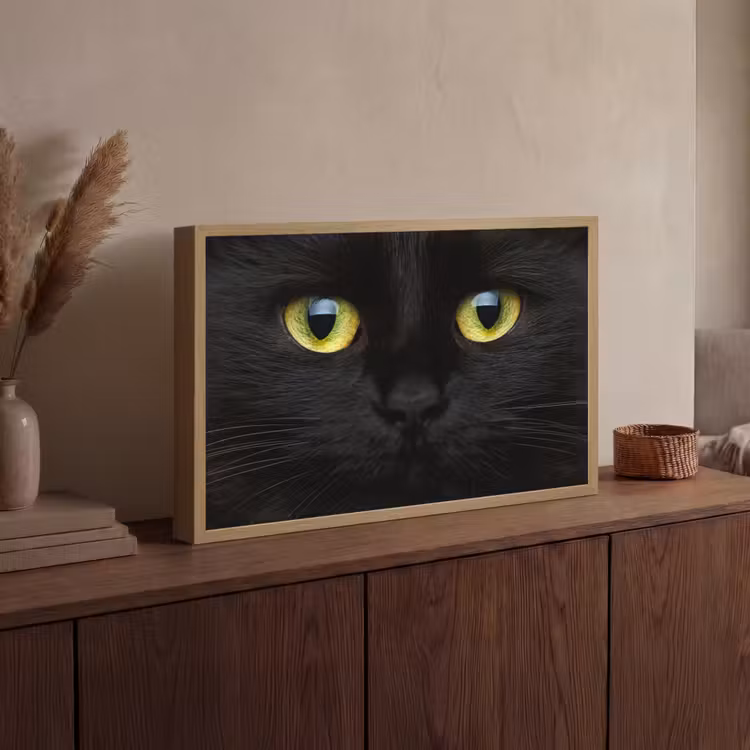Kat - Zwart - Dieren - Natuur Light Box met batterij (Wandlamp) middel -sfeer2
