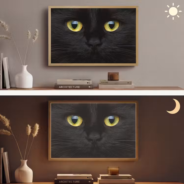 Kat - Zwart - Dieren - Natuur Light Box met batterij (Wandlamp) middel -sfeer3