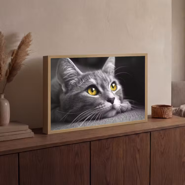 Kat - Zwart - Wit - Dieren - Natuur Light Box met batterij (Wandlamp) middel -sfeer2