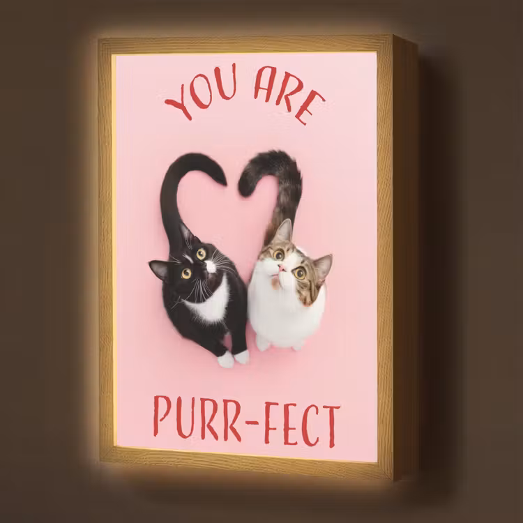 Kat - Hart - Tekst - Valentijn Light Box met batterij (Wandlamp) middel -z3d_website