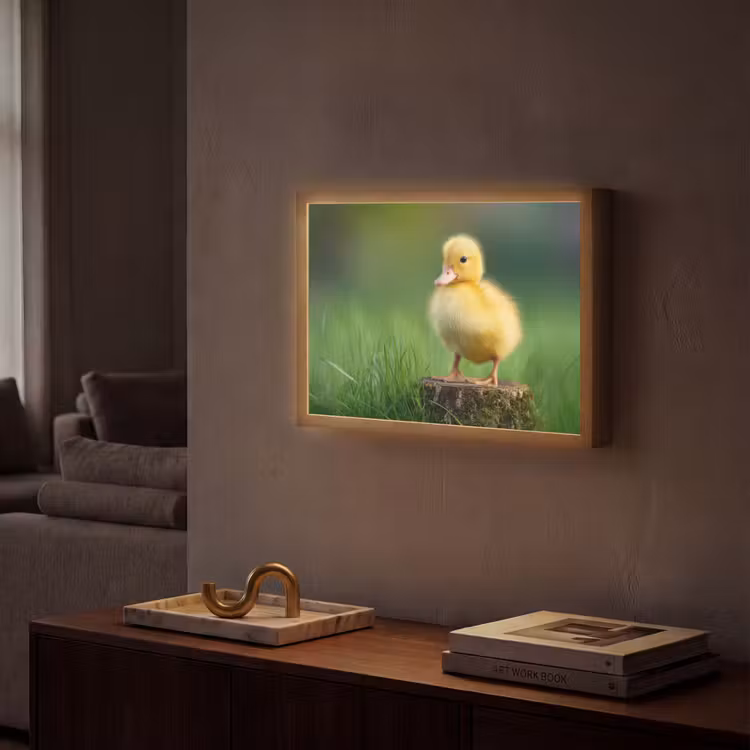 Kuiken - Eend - Geel - Gras Light Box met batterij (Wandlamp) middel -sfeer1
