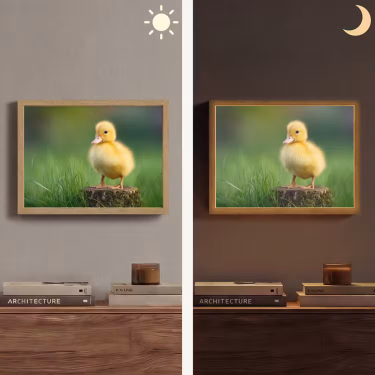 Kuiken - Eend - Geel - Gras Light Box met batterij (Wandlamp) middel -sfeer3