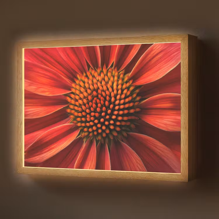 Close up - Bloem- Rood Light Box met batterij (Wandlamp) middel -z3d_website