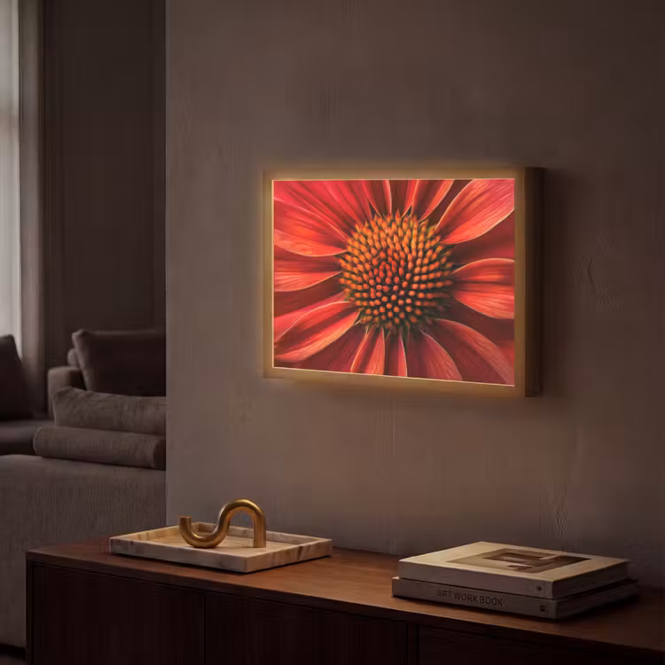 Close up - Bloem- Rood Light Box met batterij (Wandlamp) middel -sfeer1