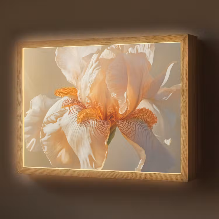 Close up - Oranje - Iris Light Box met batterij (Wandlamp) middel -z3d_website