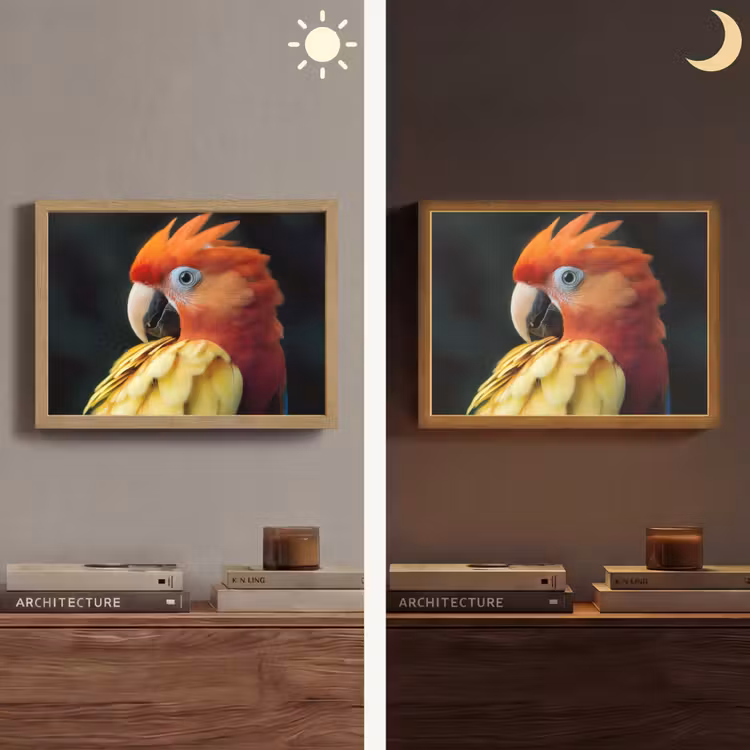 Close-up - Papegaai - Veren - Oranje Light Box met batterij (Wandlamp) middel -sfeer3