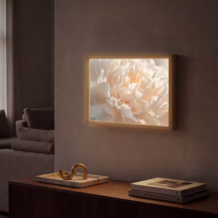 Close up - Pioenroos - Lichtroze Light Box met batterij (Wandlamp) middel -sfeer1