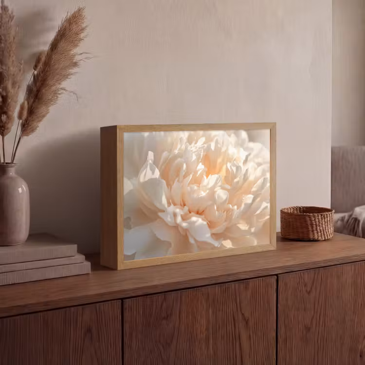 Close up - Pioenroos - Lichtroze Light Box met batterij (Wandlamp) middel -sfeer2