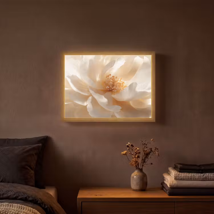 Close up - Pioenroos - Wit Light Box met batterij (Wandlamp) middel -sfeer4