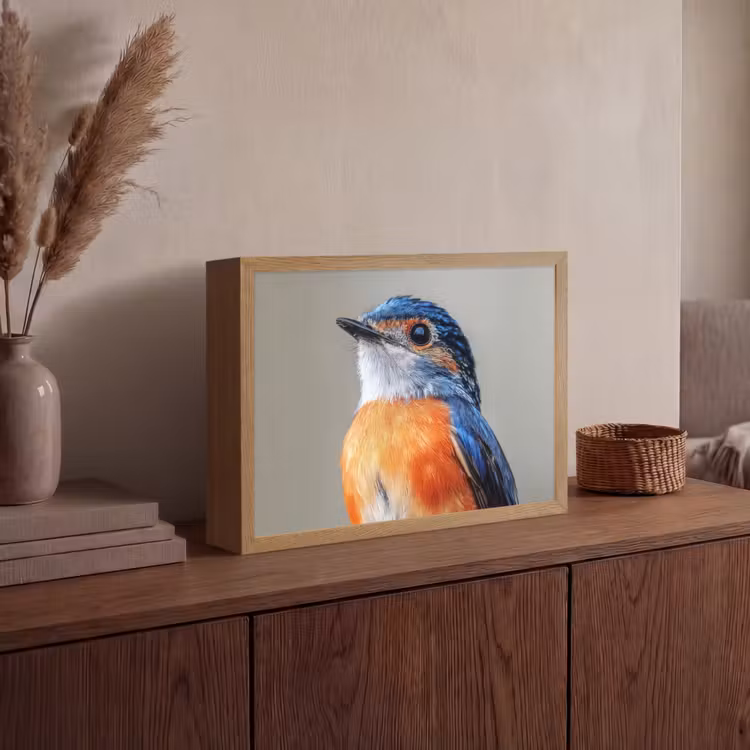 Kleurrijk - Vogeltje - Veren - Blauw Light Box met batterij (Wandlamp) middel -sfeer2