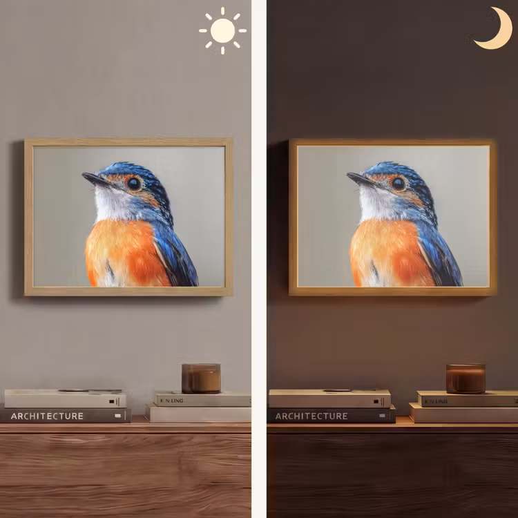 Kleurrijk - Vogeltje - Veren - Blauw Light Box met batterij (Wandlamp) middel -sfeer3