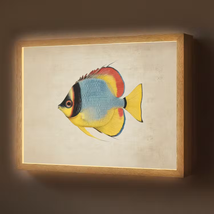 Kleurrijk - Vis - Schubben - Illustratie Light Box met batterij (Wandlamp) middel -z3d_website