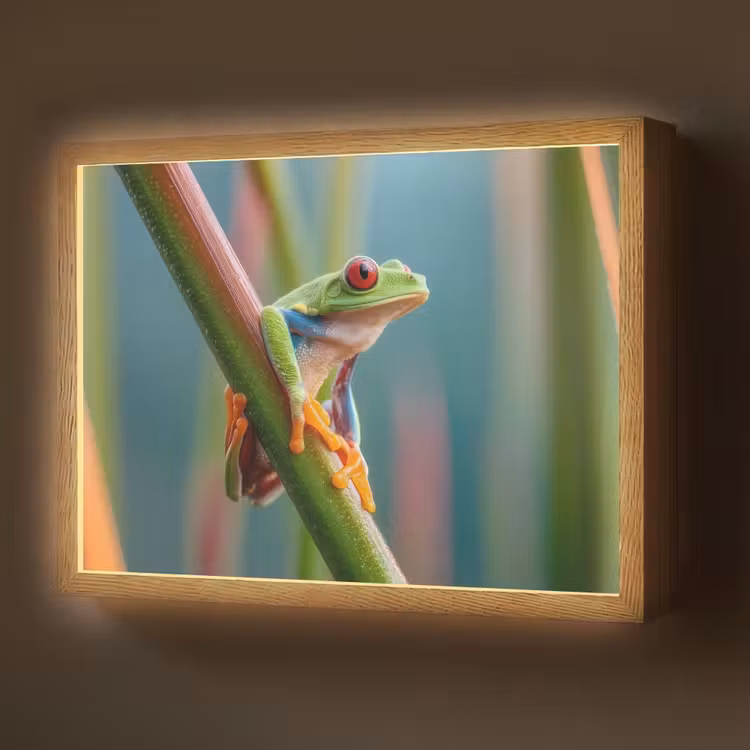 Kleurrijke kikker - Groene stengel - Alert Light Box met batterij (Wandlamp) middel -z3d_website