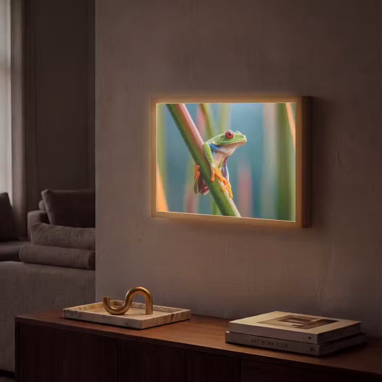 Kleurrijke kikker - Groene stengel - Alert Light Box met batterij (Wandlamp) middel -sfeer1