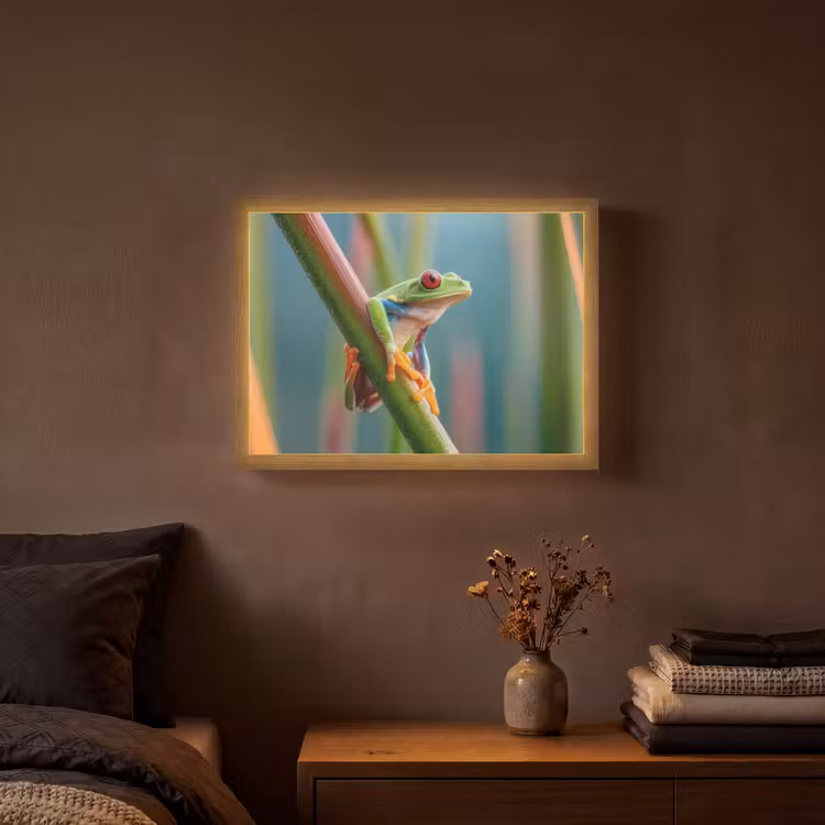Kleurrijke kikker - Groene stengel - Alert Light Box met batterij (Wandlamp) middel -sfeer4