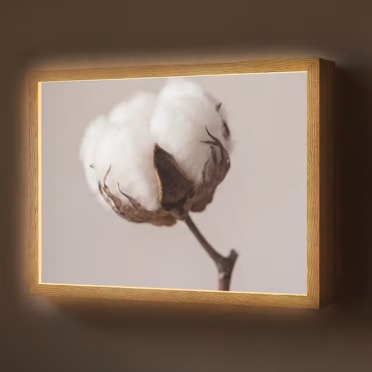 Katoenbol - Minimalistisch - Wit Light Box met batterij (Wandlamp) middel -z3d_website
