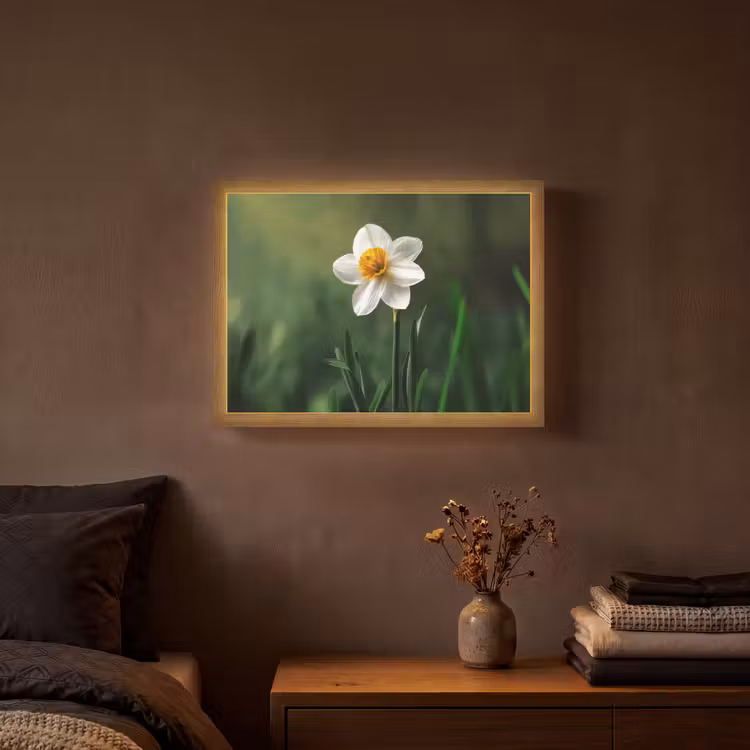 Narcis - Bloem - Wit - Grassprieten Light Box met batterij (Wandlamp) middel -sfeer4