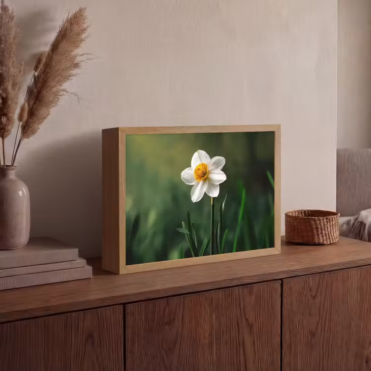 Narcis - Bloem - Wit - Grassprieten Light Box met batterij (Wandlamp) middel -sfeer2