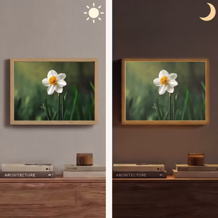 Narcis - Bloem - Wit - Grassprieten Light Box met batterij (Wandlamp) middel -sfeer3