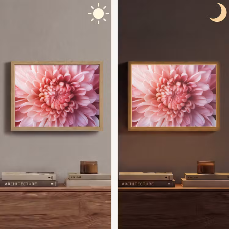 Dahlia - Bloem - Close up - Roze Light Box met batterij (Wandlamp) middel -sfeer3