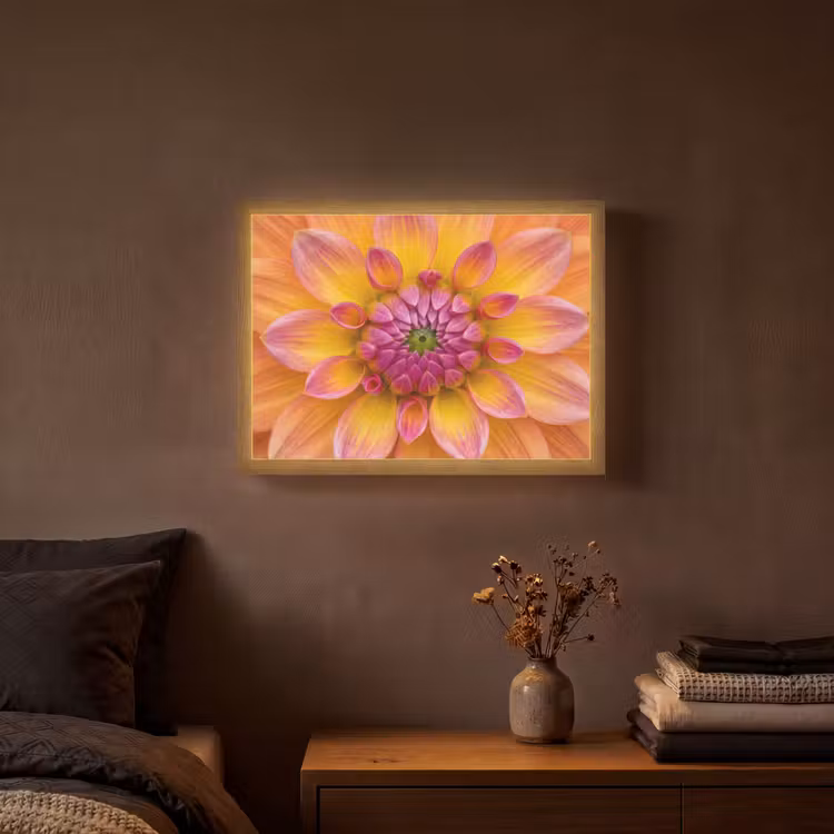 Dahlia - Bloem - Oranje Light Box met batterij (Wandlamp) middel -sfeer4