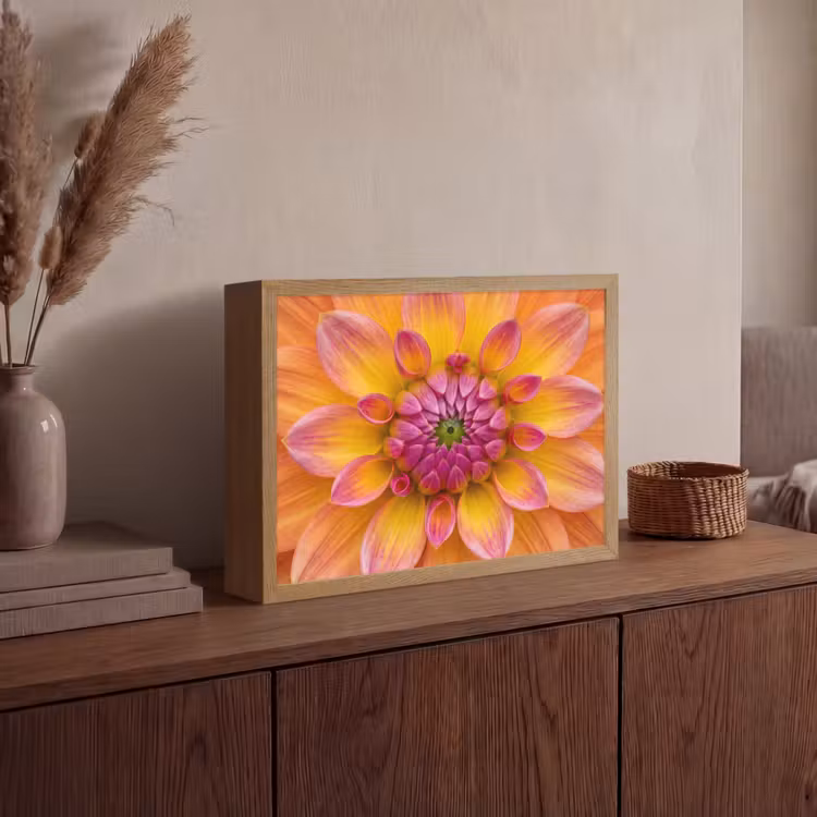 Dahlia - Bloem - Oranje Light Box met batterij (Wandlamp) middel -sfeer2