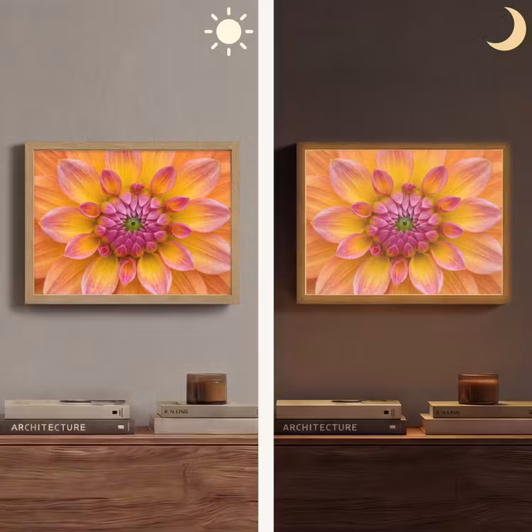 Dahlia - Bloem - Oranje Light Box met batterij (Wandlamp) middel -sfeer3