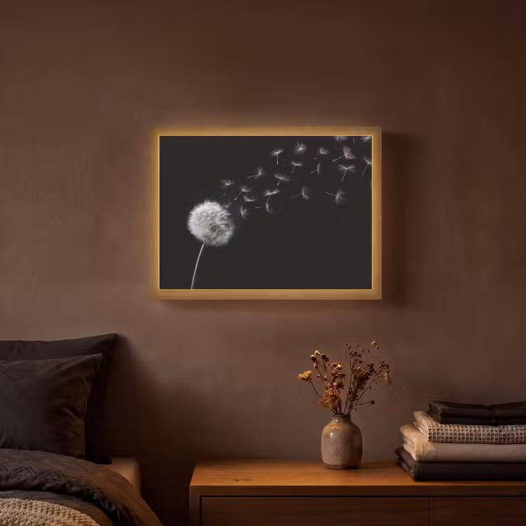 Paardenbloem - Zwart - Natuur Light Box met batterij (Wandlamp) middel -sfeer4