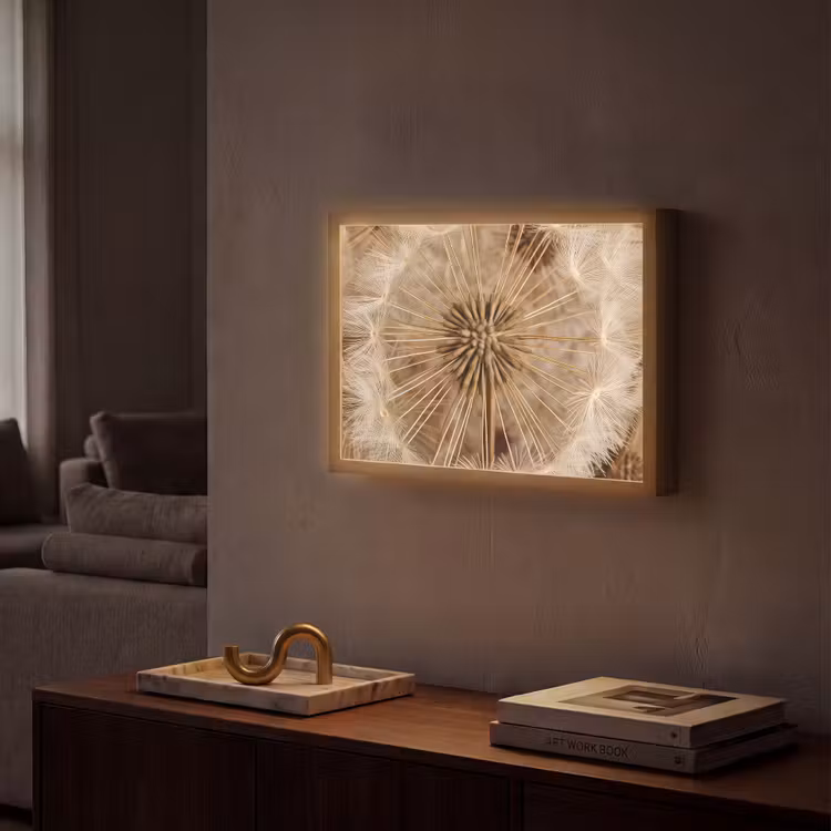 Paardenbloem - Bloemen - Natuur - Bruin Light Box met batterij (Wandlamp) middel -sfeer1