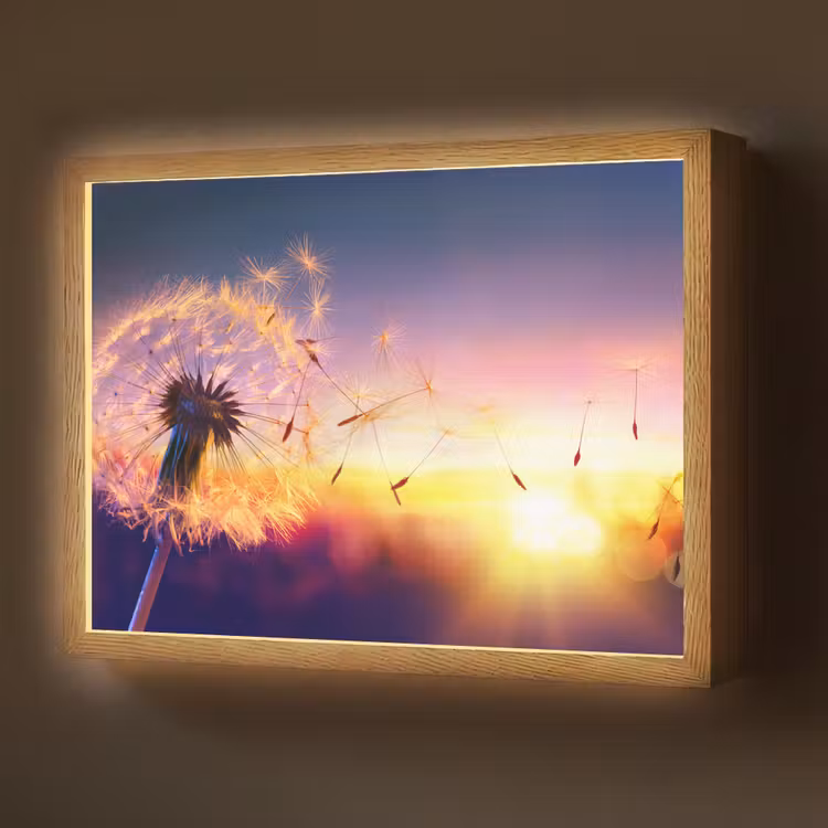 Paardenbloem - Bloemen - Zonsondergang - Horizon - Nacht Light Box met batterij (Wandlamp) middel -z3d_website