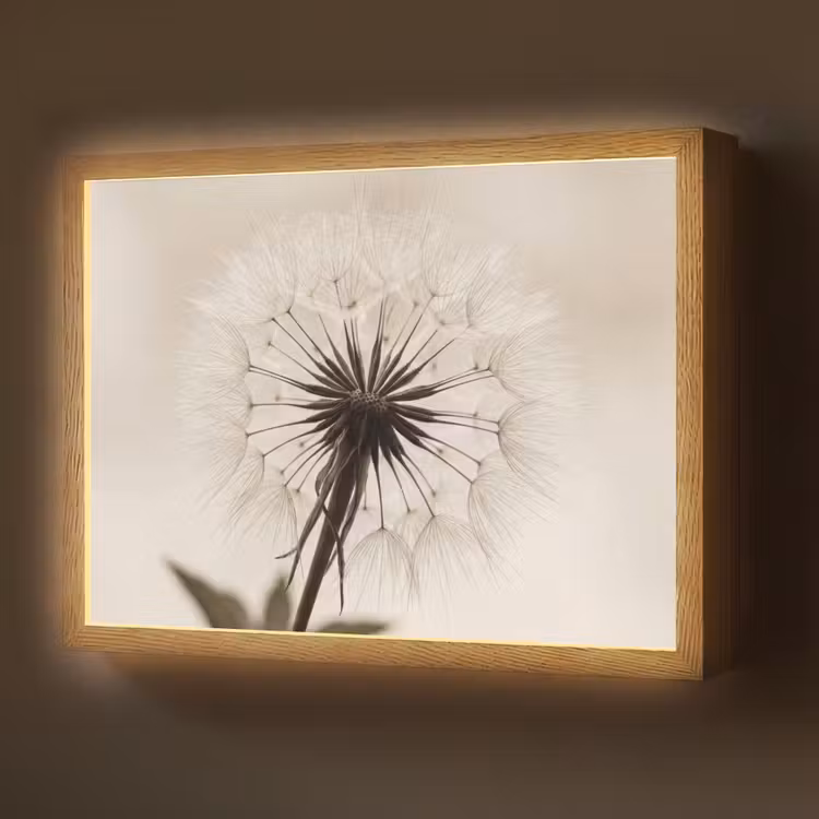 Paardenbloem - Minimalistisch - Wit Light Box met batterij (Wandlamp) middel -z3d_website
