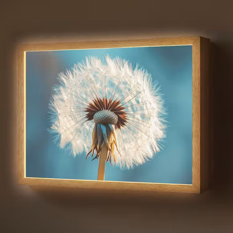Paardenbloem - Natuur - Bloemen - Blauw Light Box met batterij (Wandlamp) middel -z3d_website