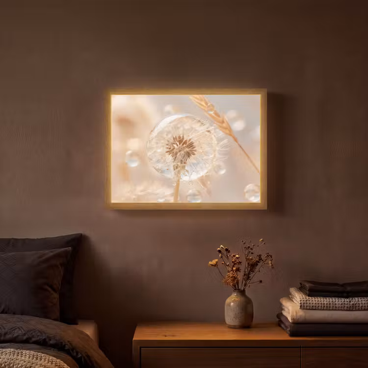 Paardenbloem - Water - Natuur - Stilleven - Modern Light Box met batterij (Wandlamp) middel -sfeer4