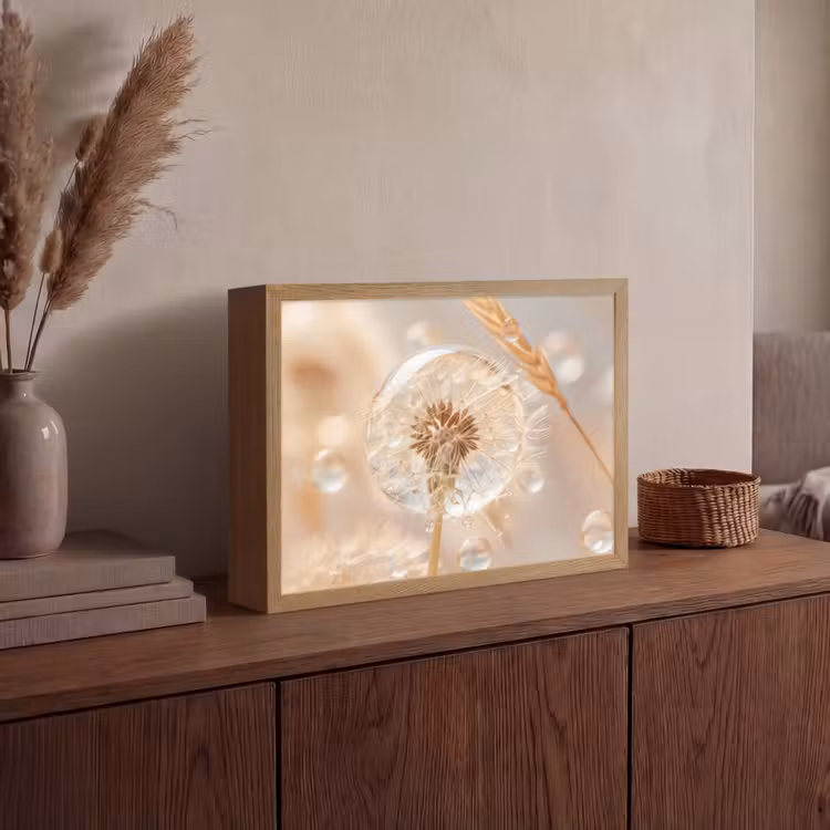 Paardenbloem - Water - Natuur - Stilleven - Modern Light Box met batterij (Wandlamp) middel -sfeer2