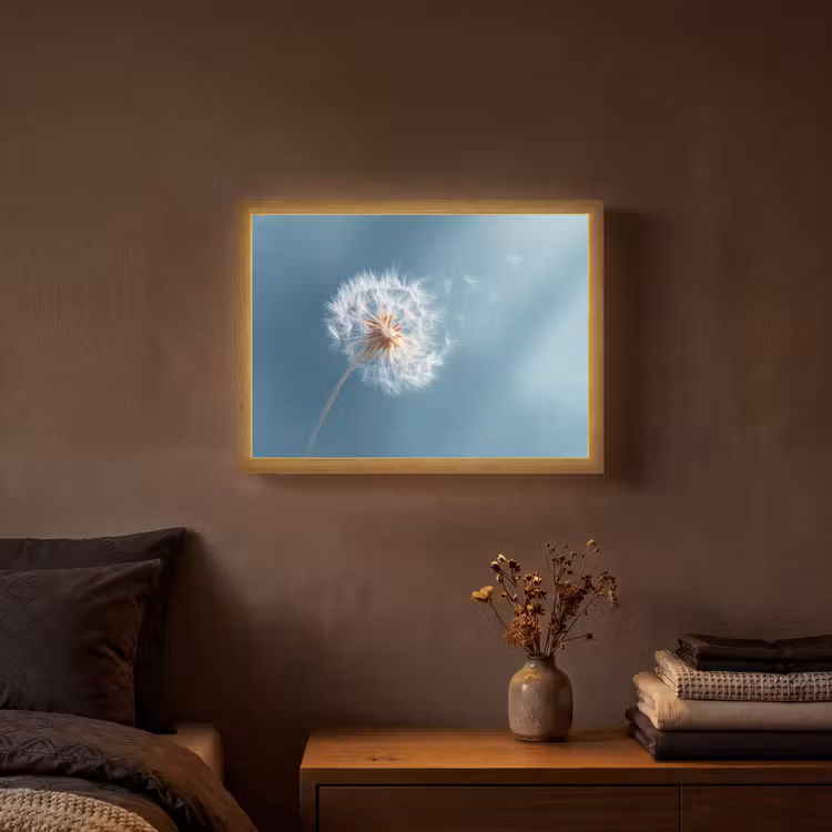 Paardenbloem - Wind - Blauw Light Box met batterij (Wandlamp) middel -sfeer4