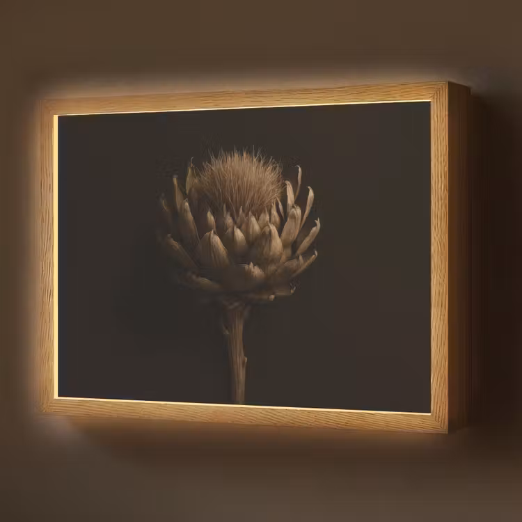 Donkerbruin - Bloem - Textuur - Artisjok Light Box met batterij (Wandlamp) middel -z3d_website