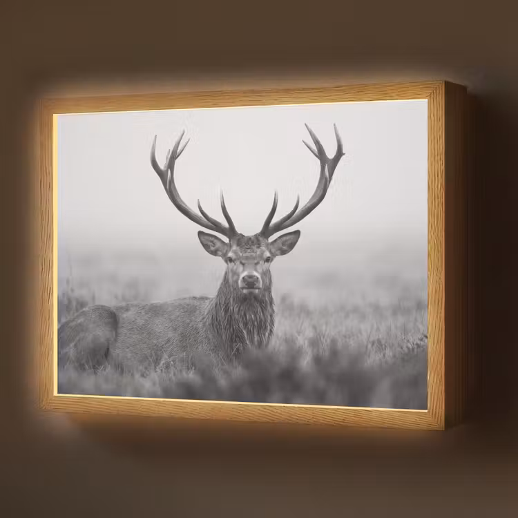 Hert - Mistig - Zwart - Wit Light Box met batterij (Wandlamp) middel -z3d_website