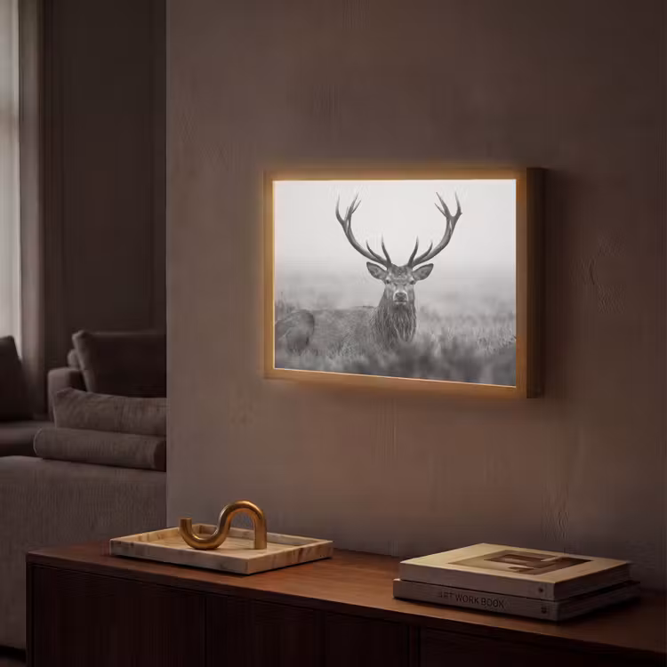 Hert - Mistig - Zwart - Wit Light Box met batterij (Wandlamp) middel -sfeer1