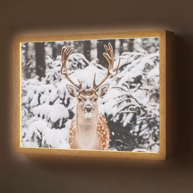 Hert - Sneeuw - Winter - Bos - Dieren Light Box met batterij (Wandlamp) middel -z3d_website